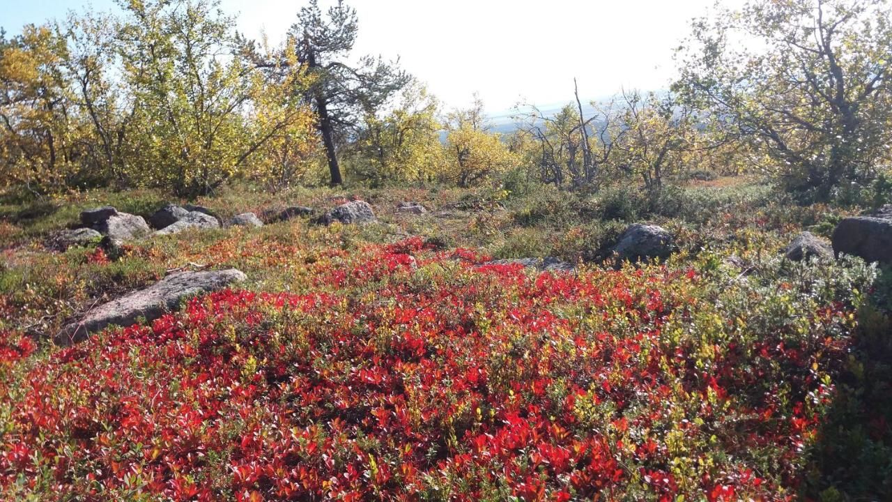 Шале Ranta Äärelä Vuotso-13