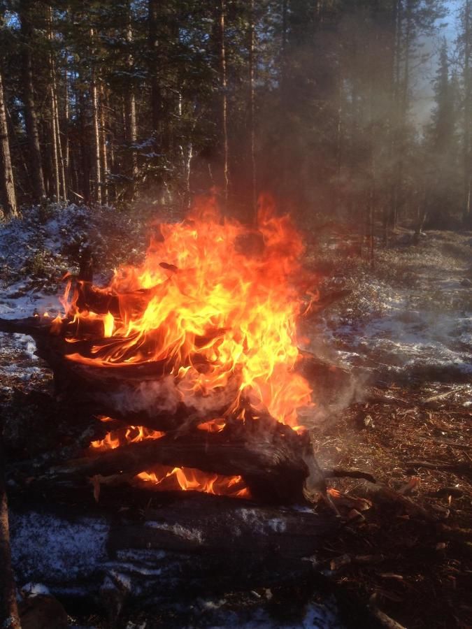 Шале Ranta Äärelä Vuotso-20