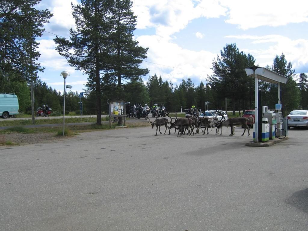 Шале Ranta Äärelä Vuotso-34