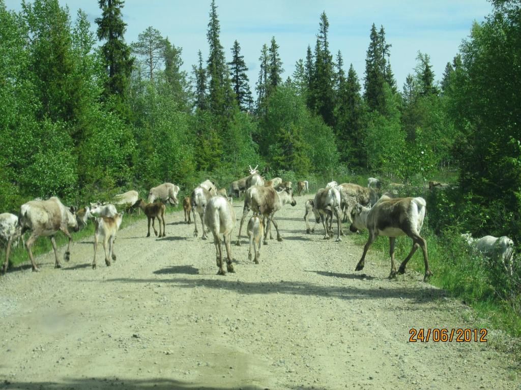 Шале Ranta Äärelä Vuotso-36